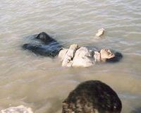 جوانی ۲۲ ساله در کانال آب روستای کوندج غرق شد
