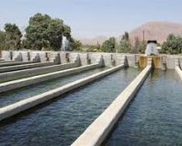 ظرفیت تولید آبزی پروری در استان افزایش می یابد