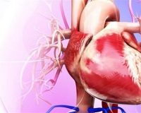 زنان دو برابر مردان در  معرض خطر مرگ ناشی از حملات قلبی‌ هستند