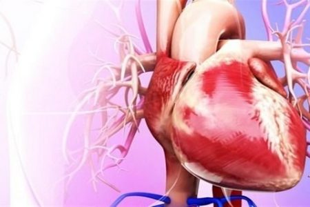 زنان دو برابر مردان در  معرض خطر مرگ ناشی از حملات قلبی‌ هستند