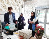 گشت مشترک کارشناسان دامپزشکی و شبکه بهداشت تاکستان از مراکز عرضه لبنیات