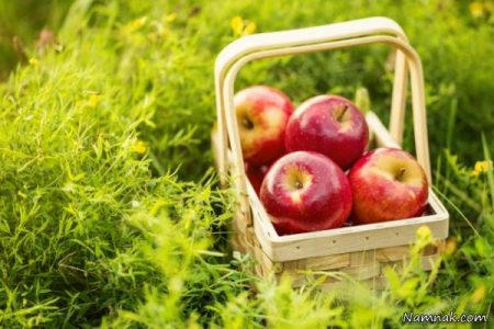 بهبود عملکرد ریه با خوردن سیب