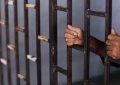 ۱۲  نفر از زندانیان جرائم غیرعمد استان قزوین آزاد شدند