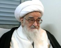 آیت الله صافی گلپایگانی: از هیچ فرد و جریانی شکایتی ندارم