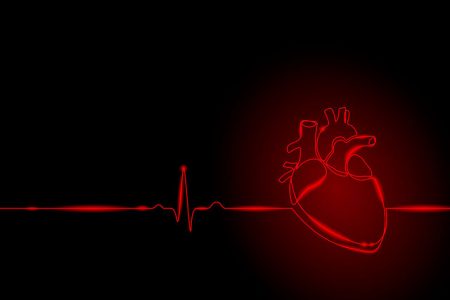 اغلب مرگ‌های بیماران قلبی ناشی از بیماری‌  رگ‌های کرونر قلبی است