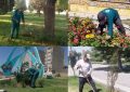 تداوم عملیات گسترده نگهداشت فضای سبز در محمدیه
