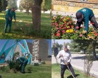 تداوم عملیات گسترده نگهداشت فضای سبز در محمدیه