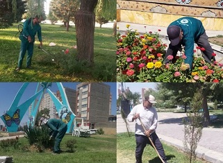 تداوم عملیات گسترده نگهداشت فضای سبز در محمدیه