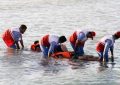 ۷۰ نفر در قزوین با فنون نجات غریق آشنا شدند