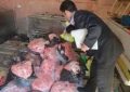 یک واحد عرضه گوشت منجمد در قزوین به دلیل تخلفات بهداشتی پلمپ شد