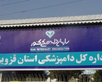 هشدار دامپزشکی درباره شیوع تب کریمه کنگو در استان قزوین