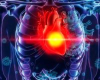 تولید بستر خارج سلولی قلب برای استفاده در مهندسی بافت قلب