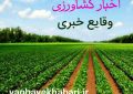 ۱۲ هزار تن چغندرقند از مزارع کشاورزی شهرستان البرز برداشت شد