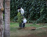 ما را همین بس است که بی آشیان شدیم