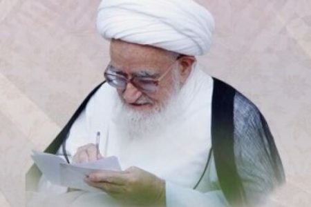 زندگی نامه یارامام و رهبری؛ آیت الله صافی گلپایگانی