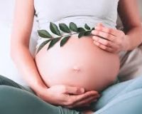 کاهش هزینه‌های درمان ناباروری و سلول‌درمانی با حمایت دولت و بیمه‌ها