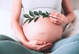 کاهش هزینه‌های درمان ناباروری و سلول‌درمانی با حمایت دولت و بیمه‌ها