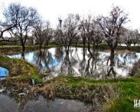 ثبت جهانی باغستان سنتی قزوین در فهرست میراث کشاورزی فائو