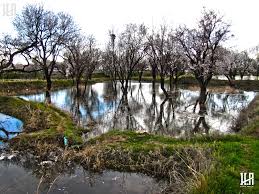 ثبت جهانی باغستان سنتی قزوین در فهرست میراث کشاورزی فائو